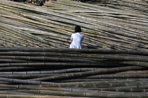 2021年中国体操队新奥运冠军、世界冠军登榜