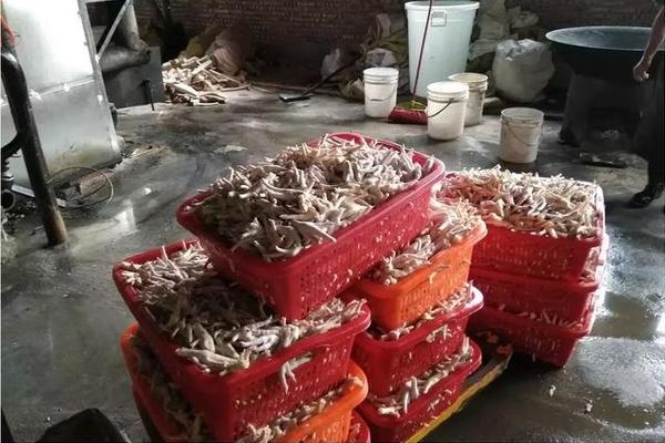 孕妇血糖高可以吃粽子吗 饮食该怎么注意