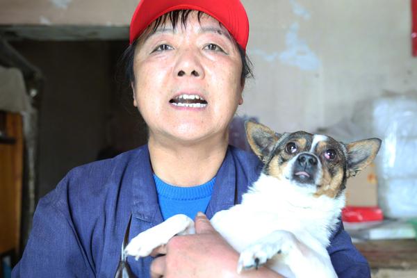  Análise de dados: Como entender a chave para a vitória em None?