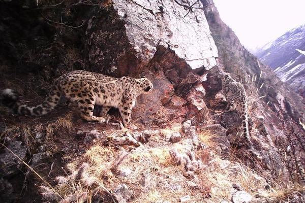 掌握指尖上的贏麵：188金寶博App下載，開啟全天候運動娛樂盛宴 