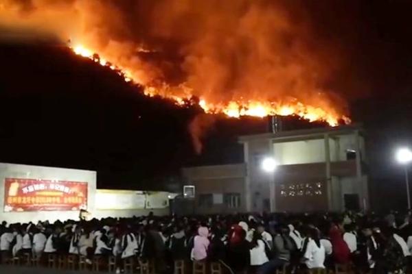 揭秘百家樂：從「賭徒」進化為「贏家」的終極穩贏策略 