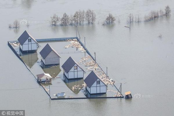 從掛曆到人生藍圖：掌握「日曆英文」，開啟你的國際化質感生活 