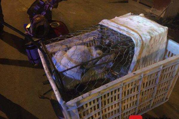 内部挖潜！穆里尼奥一脸严肃观看罗马青年队比赛