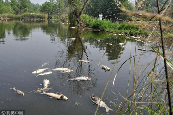 又见“股神”巴菲特：中国投资人酒会火热报名中