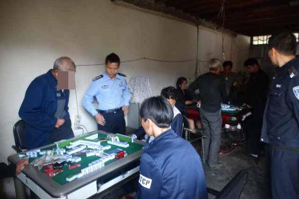 從輸家到贏家的蛻變：解密馬場隱藏的財富密碼與「贏馬心法」全攻略 