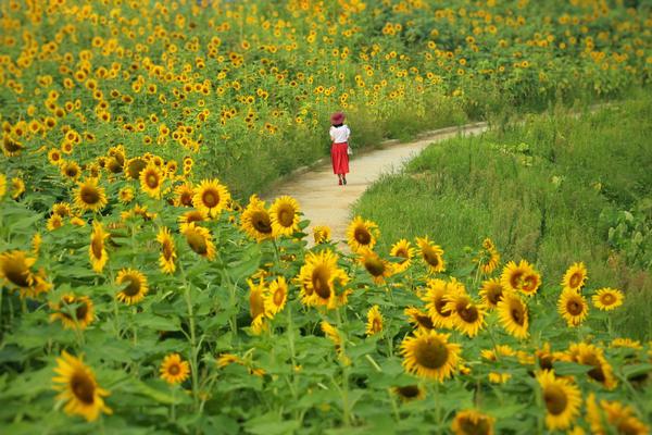 2023年全国住房公积金发放个人住房贷款近1.5万亿元