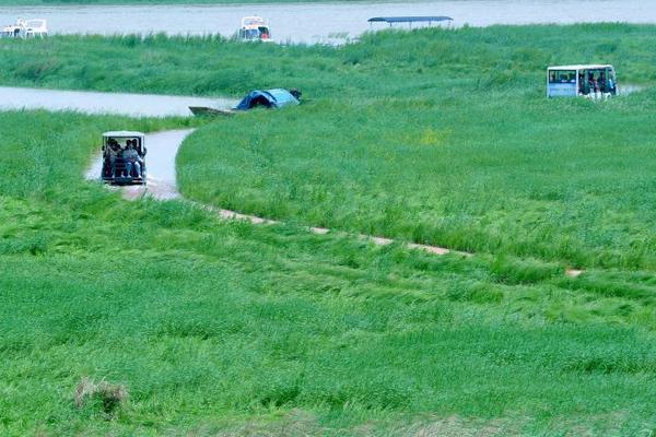 CES 2026：华硕显卡完美驱动NVIDIA DLSS 4.5黑科技