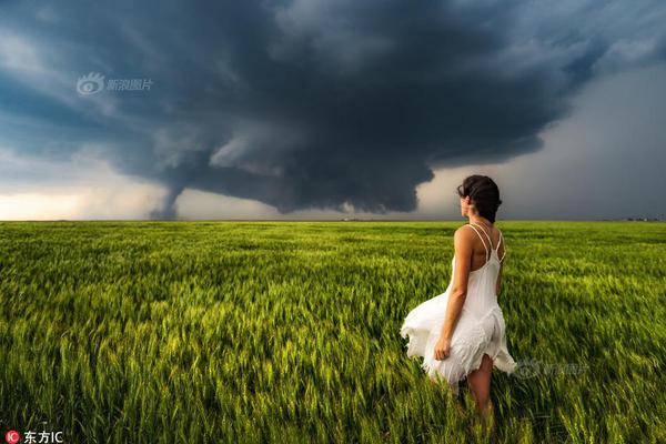  药材桔梗是什么样的