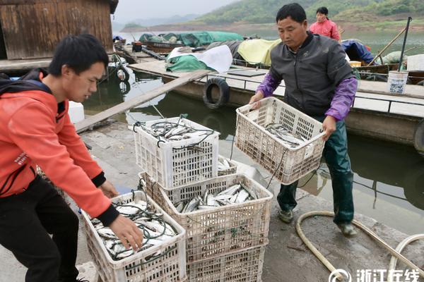 亚马逊中国官网挂了？回应：技术部门已着手处理