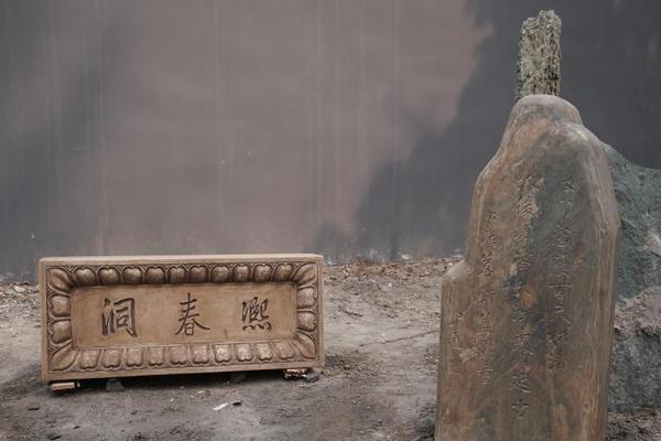 姚明：体育和教育不应该割裂