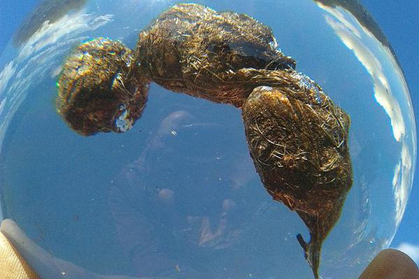 旧房局部改造，防水究竟要不要重做？