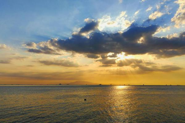 蒜头发芽了还能吃吗