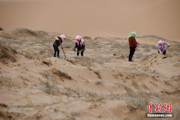 吃甲鱼是什么梗