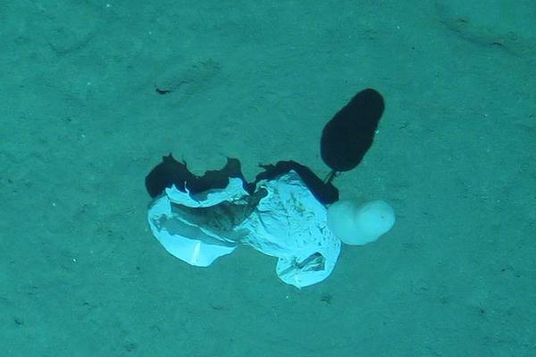 从小白到大神	：体育直播 攻略的入门与进阶