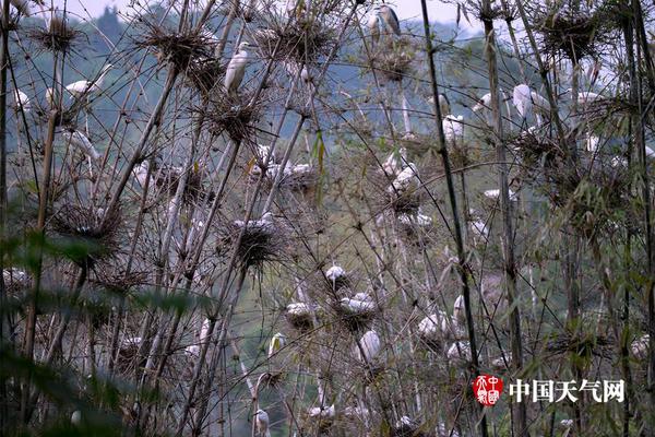 习近平出席第二届“一带一路”高峰论坛纪实