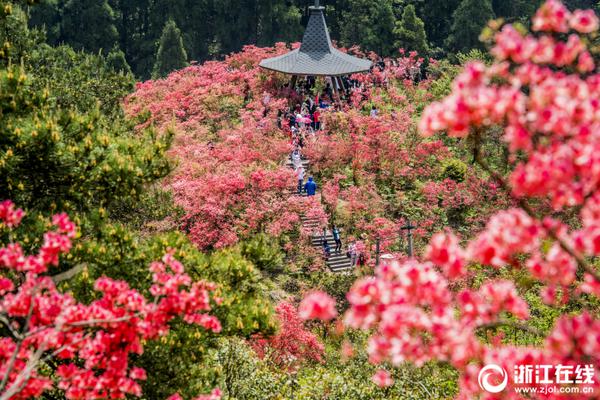 社区艺术团“悦动”成立
