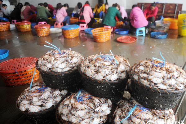 魚蝦蟹玩法全攻略：從街頭經典到線上博弈，揭秘這場指尖上的心理戰與勝率藝術 