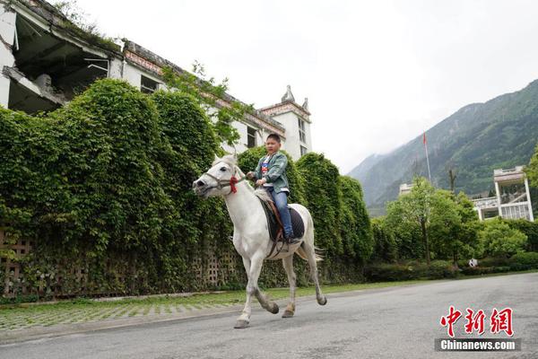 雷电将军与八重神子，互怼的奇幻对决