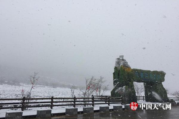 收藏日本神社识别指南 秒变旅游达人