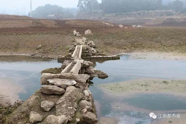 男子打造卡车泳池 把海滩度假搬回家