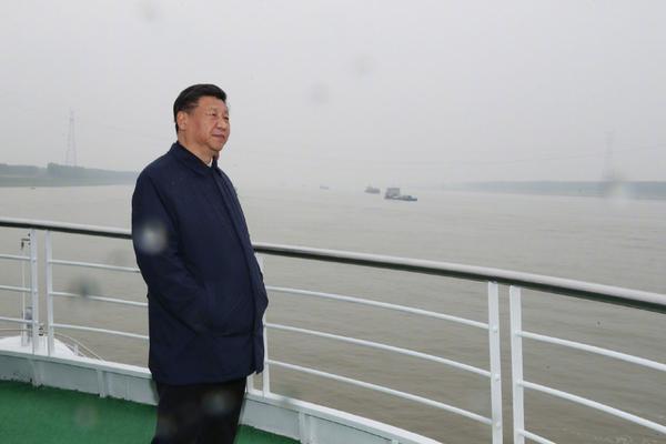 米拉夫人樱花动漫完整版，在线观看与剧情介绍