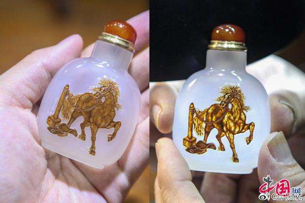 掌握勝機！香港賽馬直播App全攻略：隨時隨地感受沙田與跑馬地的熱血沸騰 