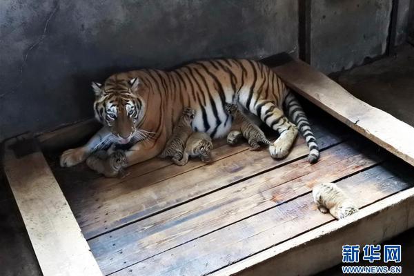 一图速览：皖美这五年 教育谱新篇