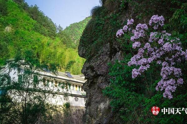 无缘奥运，钱天一宣布意外决定，去向曝光，刘国梁遗憾