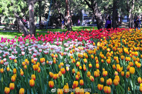 水煮花生米的做法及配料是什么？