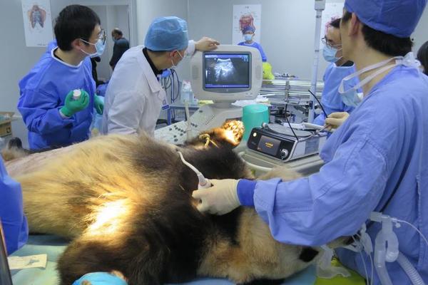 与朋友一起手机看球 app推荐	：打造专属观赛派对