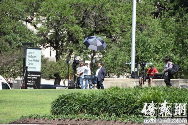 总裁上司的魅力世界——剧情与视频信息
