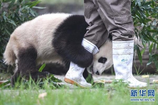 孩子，请逼自己优秀，然后骄傲地生活