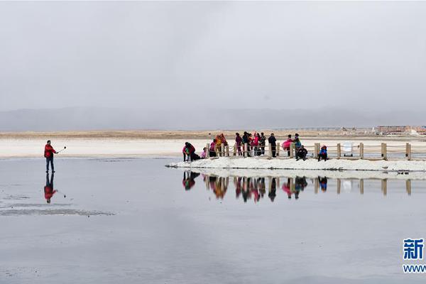 澳洲一大树“哭泣”引百人膜拜 水务公司：水管...