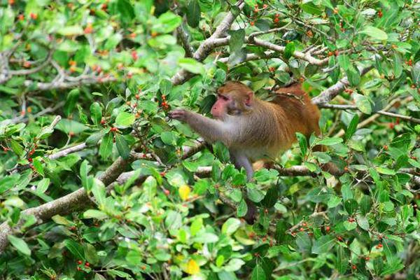 Revisão histórica: Momentos clássicos que assistimos None juntos