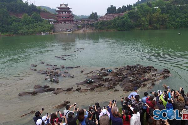 宁夏首次发现双层壁画