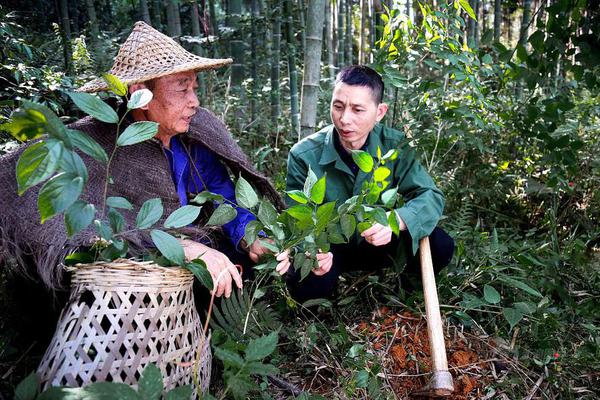 CBA:辽宁创造队史连胜纪录 六人上双山东大胜福建