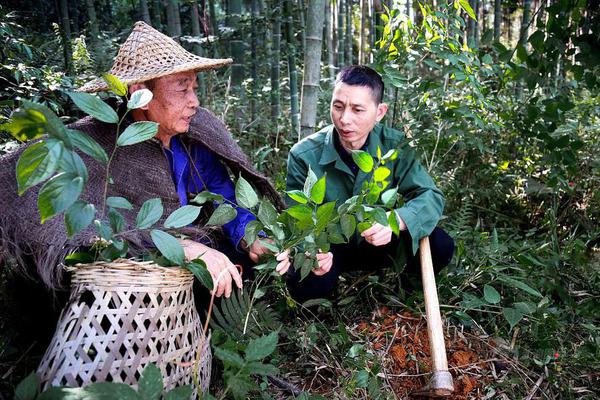 真粉鉴定局丨林彦俊要管三岁粉丝叫阿姨？