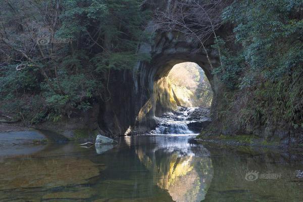 花蛤屬於海鮮還是河鮮