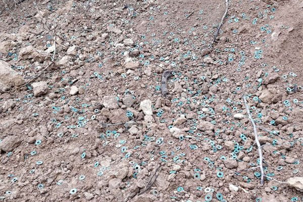 【六合彩攪珠結果今期】一夜成名的入場券：揭秘數字背後的財富密碼與城市夢想 