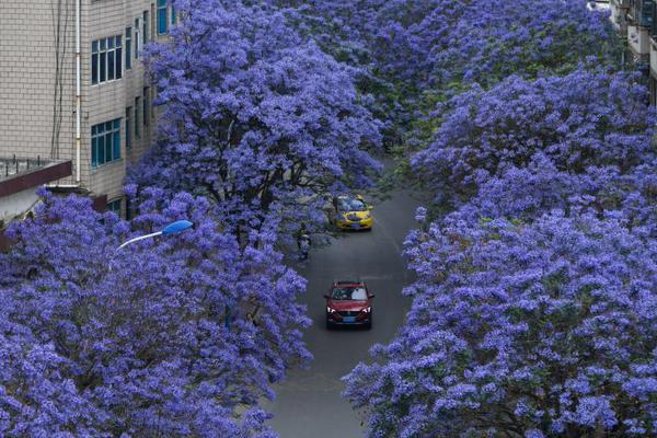 從隨機到贏家：揭秘六合彩「固定投注」的藝術與科學，讓幸運不再隻是路過 