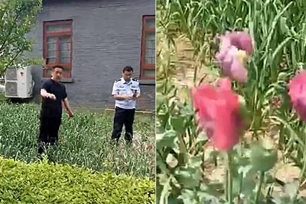 美速快递，在线观看与剧情介绍