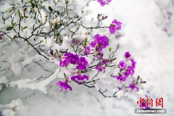 自拍国内，在线观看与剧情介绍