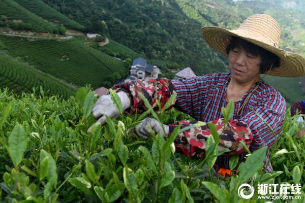 非洲，在团结自强中奋进