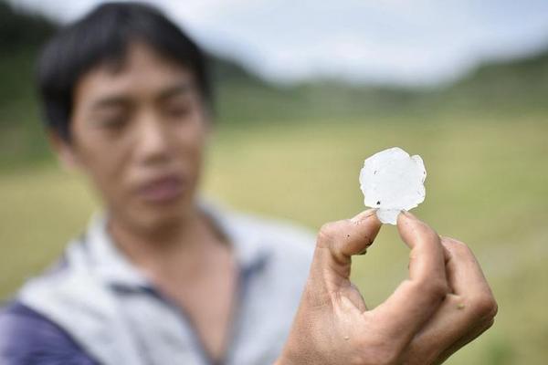 驾车必知：驾驶员辅助系统—汽车安全技术的终极指南