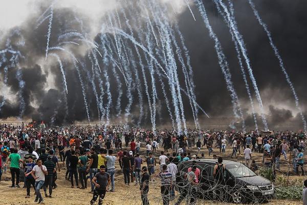 阳澄湖大闸蟹蒸多久最佳时间