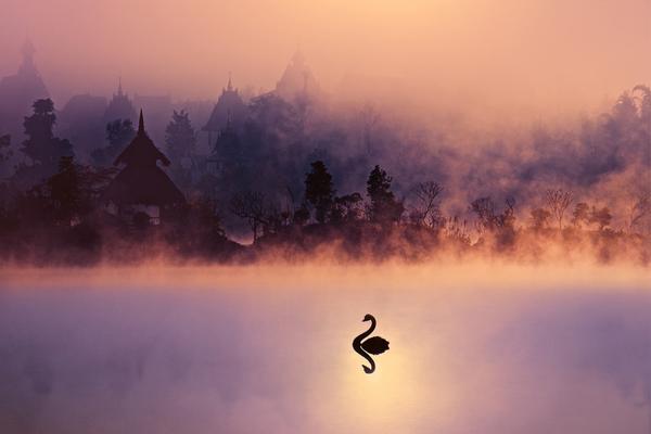 球迷必看！德甲 分析
：提升观赛乐趣的五大秘诀