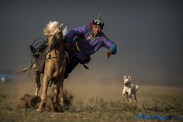 美前軍官:特朗普來給美國滅蟲