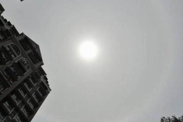 激发观众普遍共鸣 国风节目可以生动如此