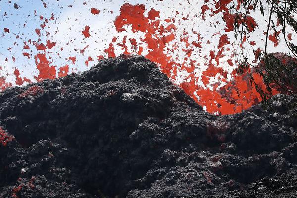 綠茵場上的贏家密碼：當《騎師日報》成為你的私人智囊，每一場衝刺皆是勝局 