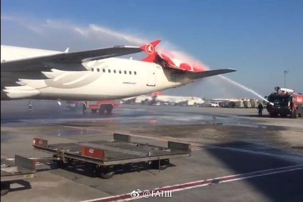 怀宁首届公岭杨梅文化旅游节开幕